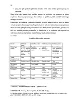 Referāts 'Produkta izstrādes un attīstīšanas virzienu vadīšana', 12.