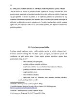 Referāts 'Produkta izstrādes un attīstīšanas virzienu vadīšana', 15.