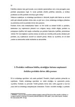 Referāts 'Produkta izstrādes un attīstīšanas virzienu vadīšana', 29.