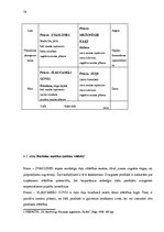 Referāts 'Produkta izstrādes un attīstīšanas virzienu vadīšana', 34.