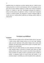 Referāts 'Produkta izstrādes un attīstīšanas virzienu vadīšana', 37.