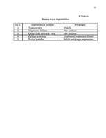 Referāts 'Mārketinga vides un stratēģijas analīze un darbības plānošana', 25.