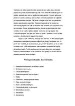 Konspekts 'Ceļojuma aptieciņas saturs', 2.