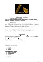 Konspekts 'Protoplasts', 2.