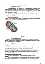 Konspekts 'Protoplasts', 6.