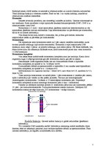 Konspekts 'Protoplasts', 7.