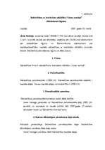 Referāts 'Uzņēmuma dibināšanas process', 16.