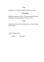 Referāts 'Uzņēmuma dibināšanas process', 30.