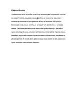 Referāts 'Optoelektronikas pārskats', 3.