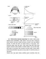 Referāts 'Optoelektronikas pārskats', 19.