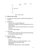 Biznesa plāns 'Biznesa plāns', 7.