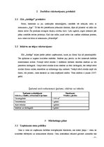 Biznesa plāns 'Biznesa plāns', 8.