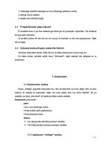 Biznesa plāns 'Biznesa plāns', 11.