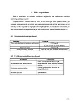 Biznesa plāns 'Biznesa plāns', 15.