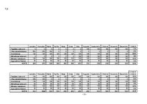 Biznesa plāns 'Biznesa plāns', 22.