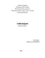 Referāts 'Salīdzinājumi', 1.