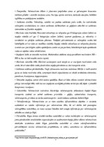 Referāts 'Veloceliņi Rīgā un to izmantošanas iespējas', 7.