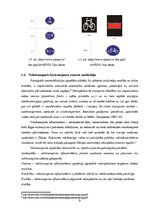 Referāts 'Veloceliņi Rīgā un to izmantošanas iespējas', 9.
