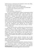 Referāts 'Veloceliņi Rīgā un to izmantošanas iespējas', 13.