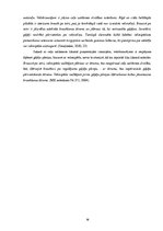 Referāts 'Veloceliņi Rīgā un to izmantošanas iespējas', 16.