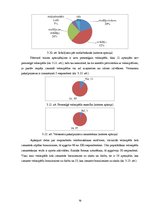 Referāts 'Veloceliņi Rīgā un to izmantošanas iespējas', 19.