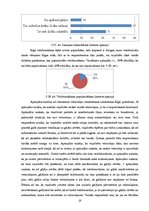 Referāts 'Veloceliņi Rīgā un to izmantošanas iespējas', 25.