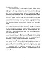 Referāts 'Veloceliņi Rīgā un to izmantošanas iespējas', 27.