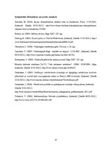 Referāts 'Veloceliņi Rīgā un to izmantošanas iespējas', 28.