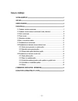 Referāts 'Grāmatvedības uzskaites sistēmas plāns uzņēmumam "Saulīte"', 2.