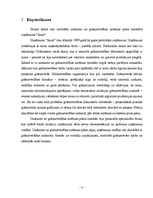 Referāts 'Grāmatvedības uzskaites sistēmas plāns uzņēmumam "Saulīte"', 4.