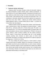 Referāts 'Grāmatvedības uzskaites sistēmas plāns uzņēmumam "Saulīte"', 5.