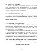 Referāts 'Grāmatvedības uzskaites sistēmas plāns uzņēmumam "Saulīte"', 14.