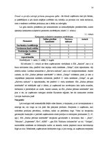 Referāts 'SIA "Saldus pārtikas kombināts" tirgus izpēte', 12.