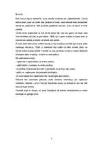 Biznesa plāns 'Biznesa plāns picērijai', 3.