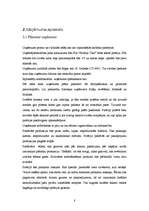 Biznesa plāns 'Biznesa plāns picērijai', 8.