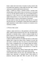 Biznesa plāns 'Biznesa plāns picērijai', 10.