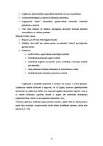 Biznesa plāns 'Biznesa plāns picērijai', 12.