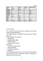 Biznesa plāns 'Biznesa plāns picērijai', 20.