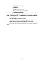 Biznesa plāns 'Biznesa plāns picērijai', 21.