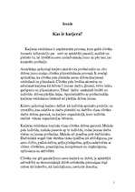 Referāts 'Karjera', 1.