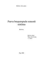 Referāts 'Purva bruņurupuča sensorā sistēma', 1.