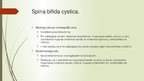 Prezentācija 'Spina bifida - fzioterapija', 5.