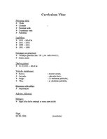Paraugs 'Curriculum Vitae ', 1.