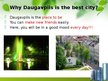 Prezentācija 'Welcome to Daugavpils!', 11.