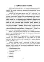 Referāts 'Sabiedriskās attiecības kā uzņēmuma attīstības līdzeklis', 18.