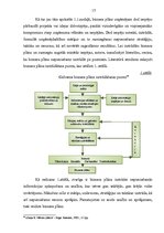 Diplomdarbs 'Biznesa plāna izstrāde un tā nozīme uzņēmējdarbībā', 15.