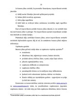 Diplomdarbs 'Biznesa plāna izstrāde un tā nozīme uzņēmējdarbībā', 20.