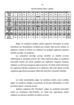 Diplomdarbs 'Biznesa plāna izstrāde un tā nozīme uzņēmējdarbībā', 74.