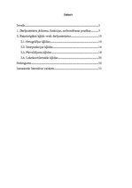 Referāts 'Valodas kļūdas darījumu tekstos', 1.