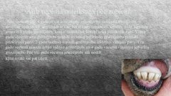 Referāts 'Aitkopība', 4.